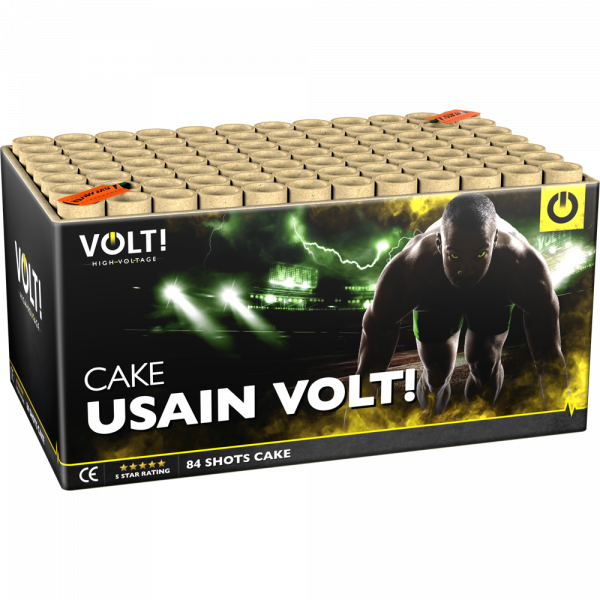 6208 Usain Volt!